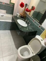 Tiara (D9), Condominium #503216981